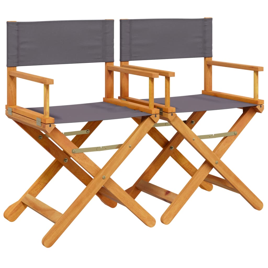Regisseursstoelen 2 st inklapbaar stof donkergrijs