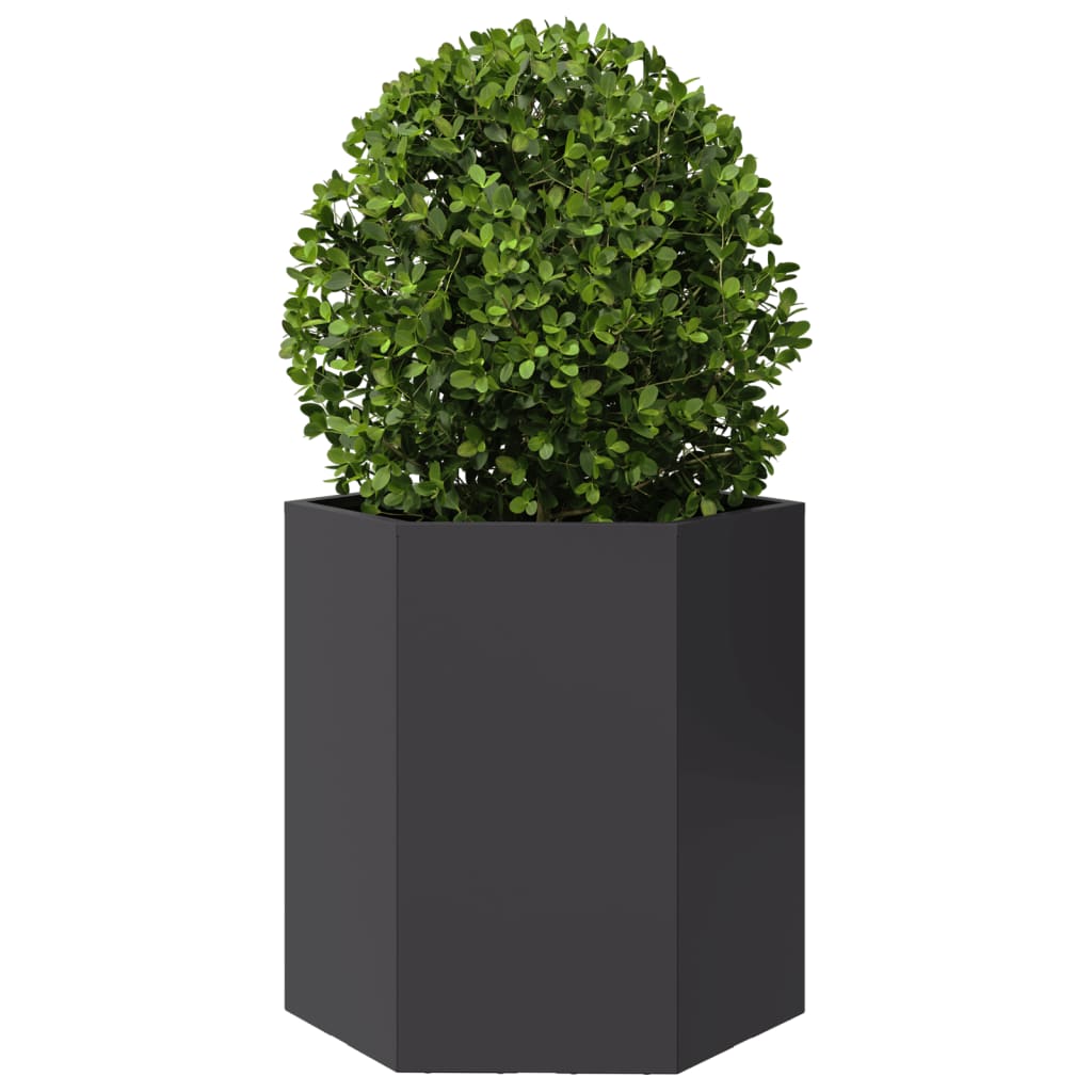 Plantenbakken Zeshoek Staal Zwart 2 46 x 40 x 45 cm Staal/Zwart