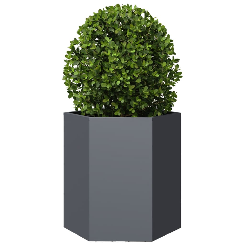 Plantenbakken Zeshoek Staal Antracietkleurig 2 46 x 40 x 45 cm Staal/Antracietkleurig