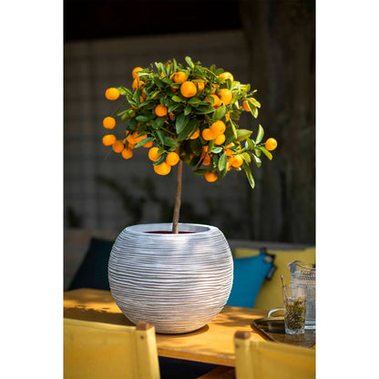 Capi Bloempot Nature Rib Bolvormig Kleurig Kofi270 Ivoor 40 x 32 cm