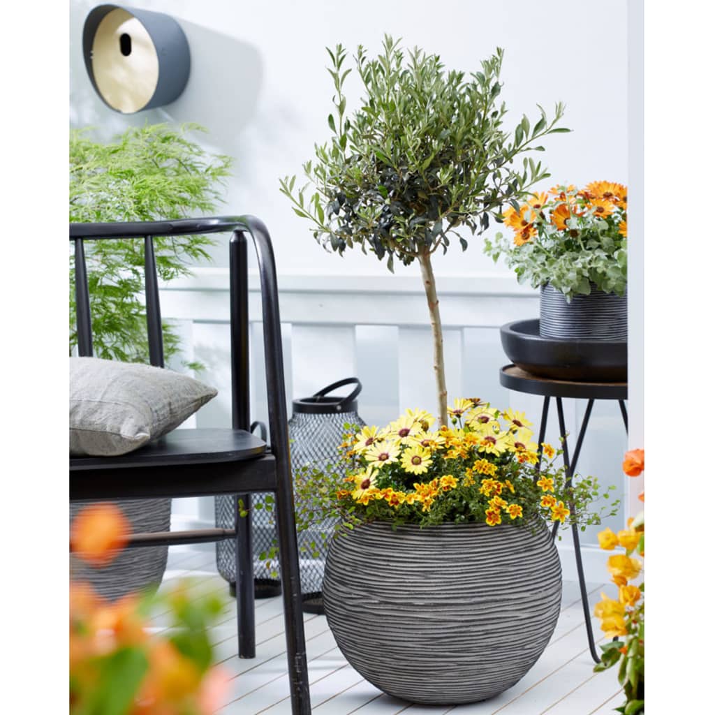 Capi Bloempot Nature Rib Bolvormig Kofz270 Antraciet 40 x 32 cm