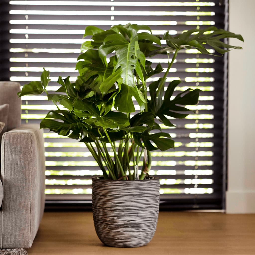 Capi Bloempot Nature Rib Kofz933 43 x 41 cm Antraciet
