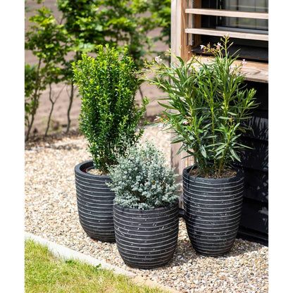 Capi Bloempot Nature Row Elegant Laag Krwz782 36 x 47 cm Antraciet