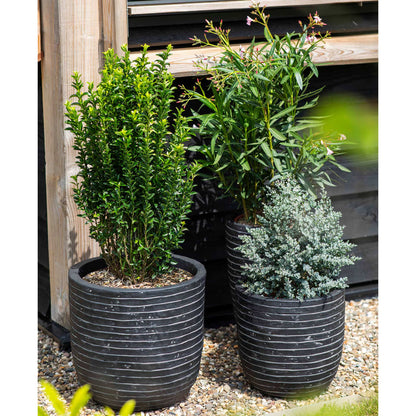 Capi Bloempot Nature Row Elegant Laag Krwz782 36 x 47 cm Antraciet