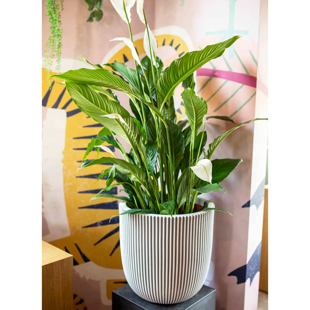 Capi Bloempot Groove 43X41 Cm Kleurig Ø 43 x 41 cm Ivoor