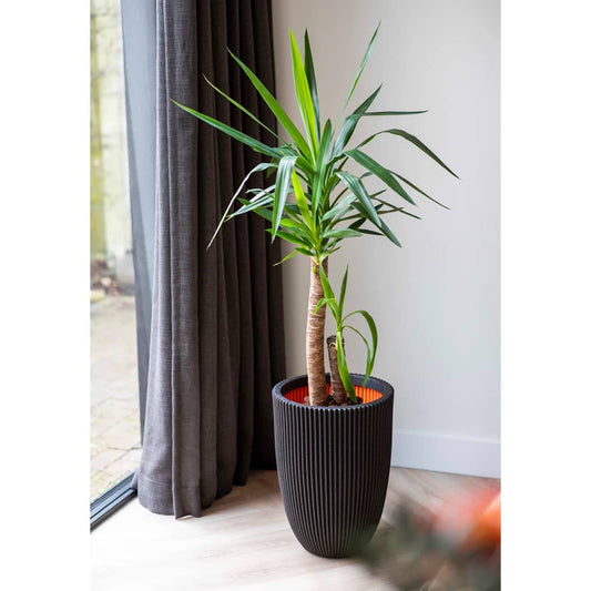 Capi Bloempot Groove Elegant 34X46 Cm Ø 34 x 46 cm Zwart