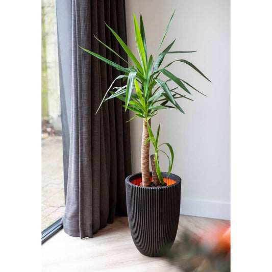 Capi Bloempot Groove Elegant 46X58 Cm Ø 46 x 58 cm Zwart