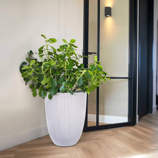 Capi Bloempot Groove Elegant 34X46 Cm Kleurig Ø 34 x 46 cm Ivoor