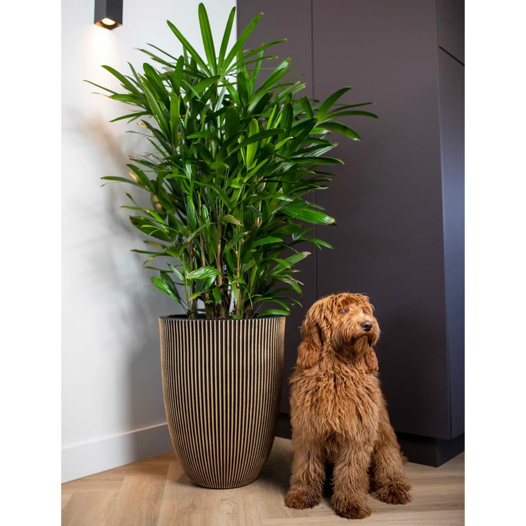 Capi Bloempot Groove Elegant 34X46 Cm Kleurig Ø 34 x 46 cm Zwart en goud
