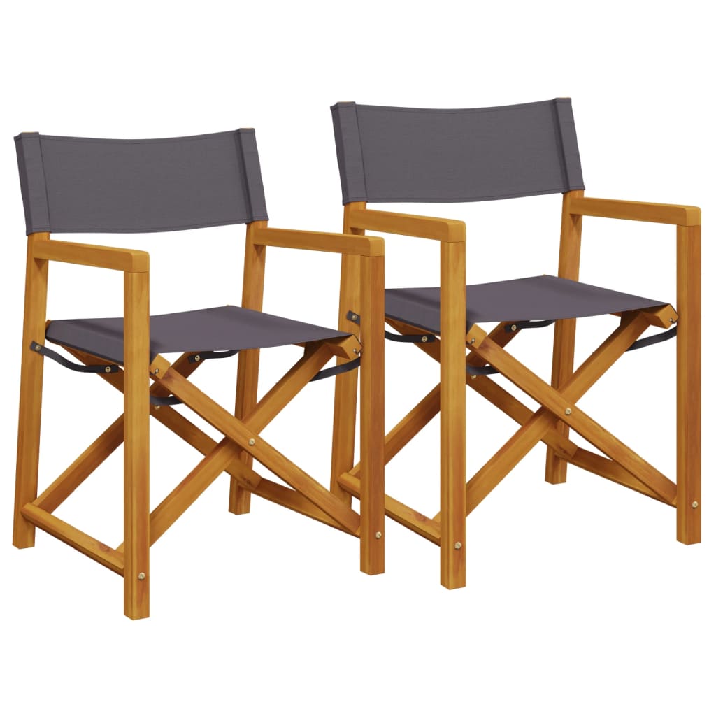 Regisseursstoelen 2 st inklapbaar stof donkergrijs