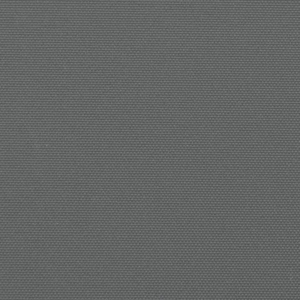 Windscherm uittrekbaar 160x1000 cm antracietkleurig