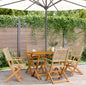 Tuinstoelen 4 st inklapbaar poly rattan en massief hout beige