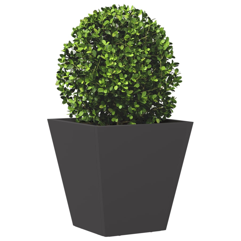 Plantenbakken Staal Zwart 2 30 x 30 x 30 cm Staal/Zwart