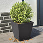 Plantenbakken Staal Zwart 2 30 x 30 x 30 cm Staal/Zwart
