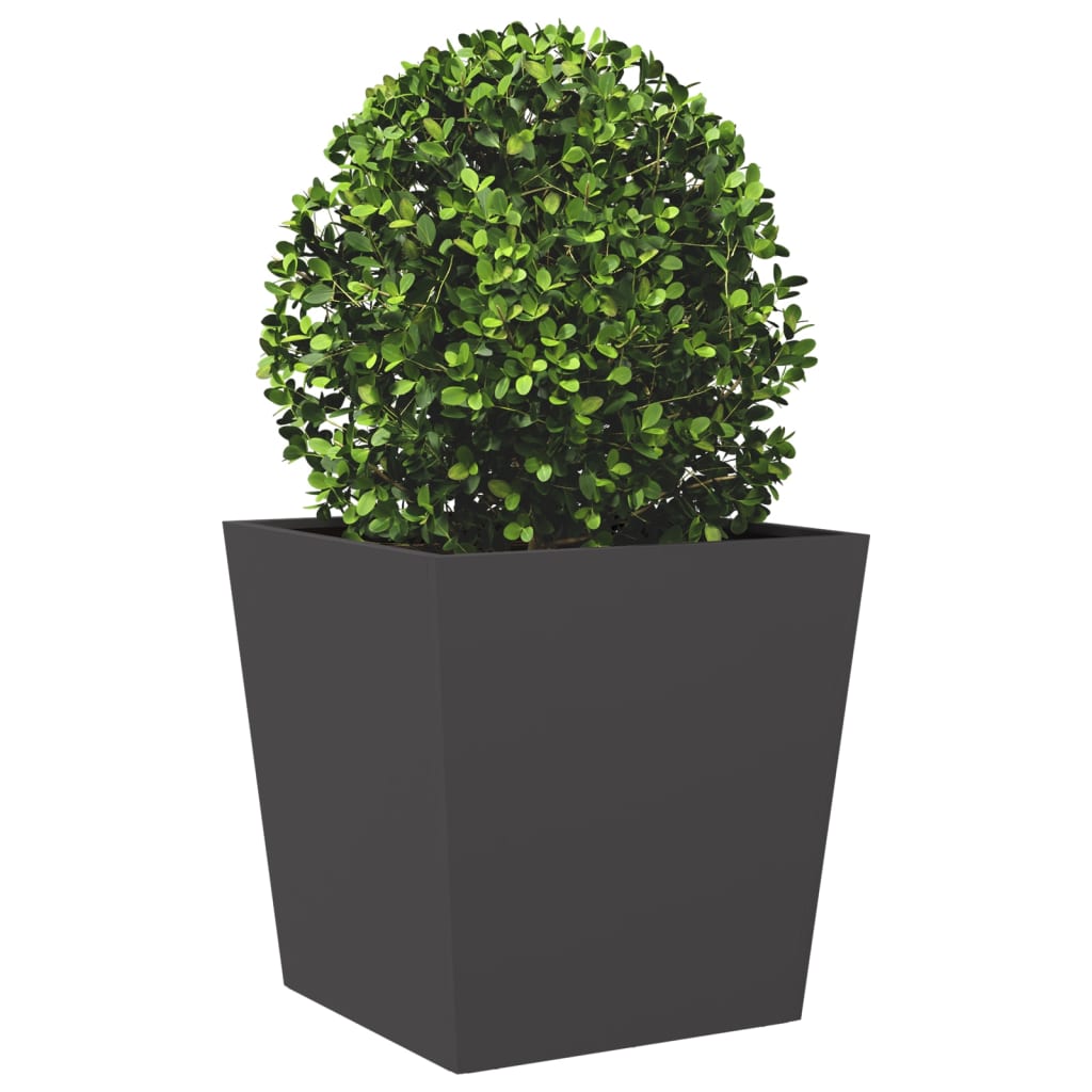 Plantenbakken Staal Zwart 2 50 x 50 x 50 cm Staal/Zwart