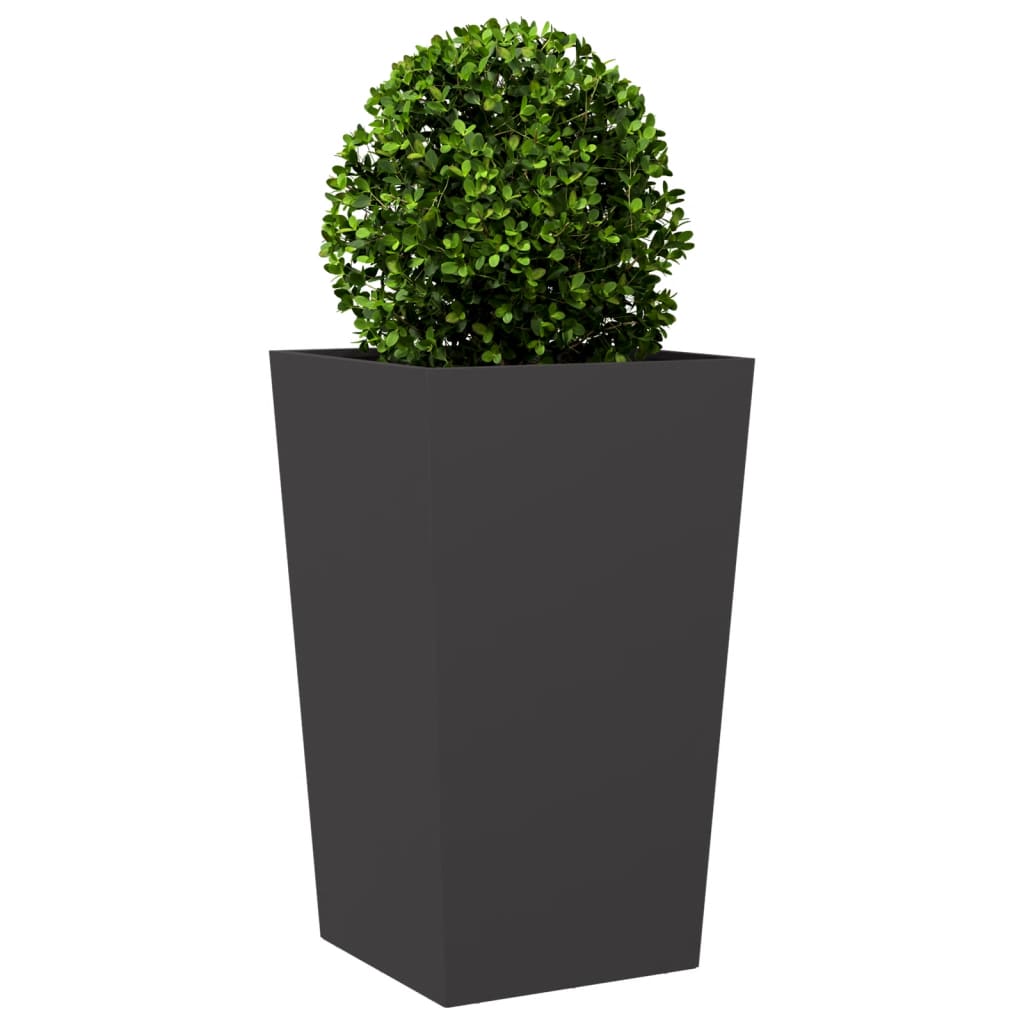 Plantenbakken Staal Zwart 2 45 x 45 x 75 cm Staal/Zwart