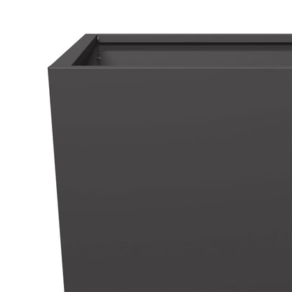 Plantenbakken Staal Zwart 2 45 x 45 x 75 cm Staal/Zwart