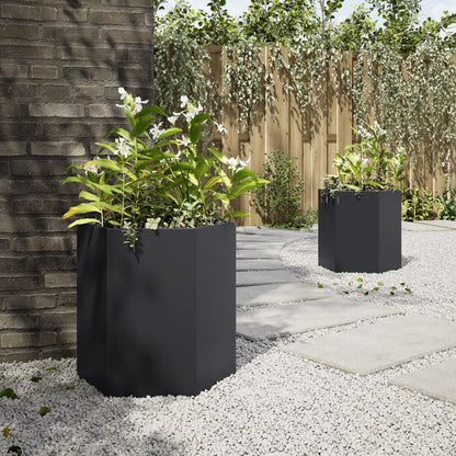 Plantenbakken Zeshoek Staal Zwart 2 46 x 40 x 45 cm Staal/Zwart