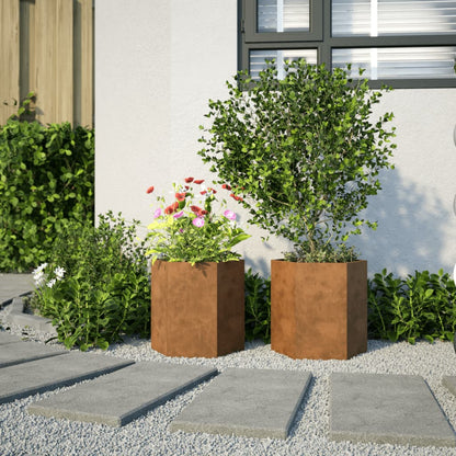 Plantenbakken Zeshoek Weervast Staal 2 46 x 40 x 45 cm Cortenstaal/Bruin