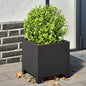 Plantenbakken Staal Zwart 2 30 x 30 x 30 cm Staal/Zwart