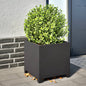 Plantenbakken Staal Zwart 2 40 x 40 x 40 cm Staal/Zwart
